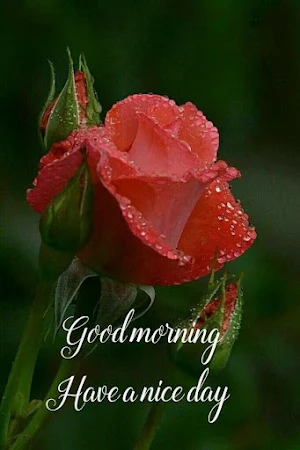 Good morning greetings Screenshot 0