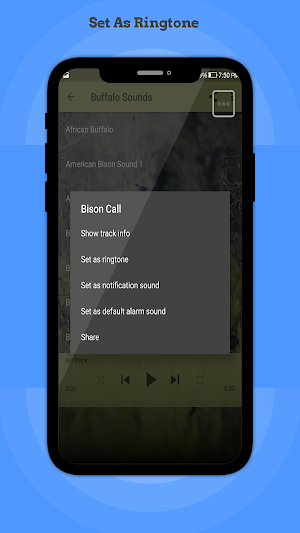 Buffalo Sounds Screenshot 3