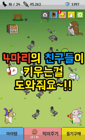 비둘기키우기 Screenshot 3