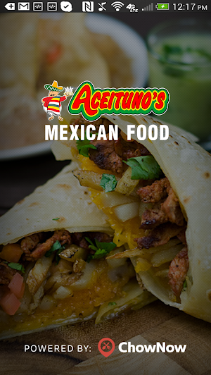 Aceituno's Mexican Food Screenshot 0