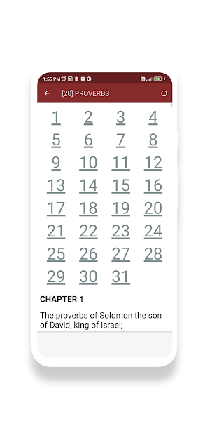 Holy Bible KJV Screenshot 3