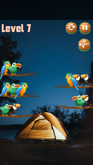 Color Sort Puzzle - Bird Games Screenshot 1