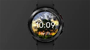 Lonely Tree - Watch Face Screenshot 2