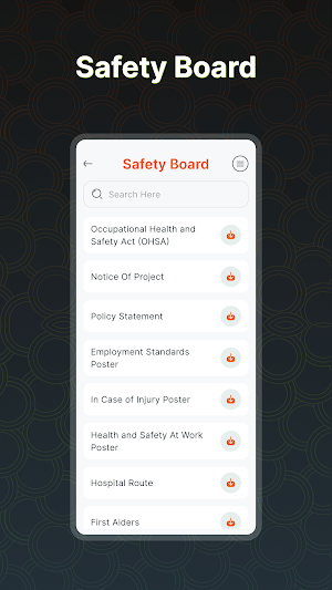 WIJS SYSTEMS INC. Screenshot 3