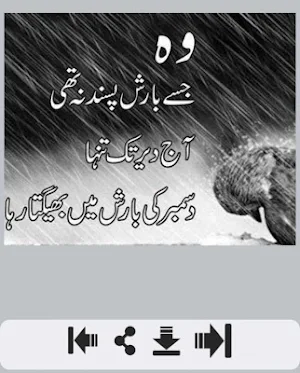 December Urdu Shayari Screenshot 0