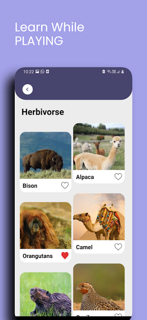 200+ Animal Sounds & Names Screenshot 2