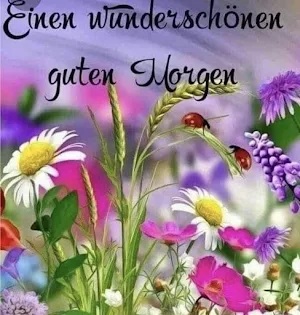 Guten Morgen Bilder Screenshot 1