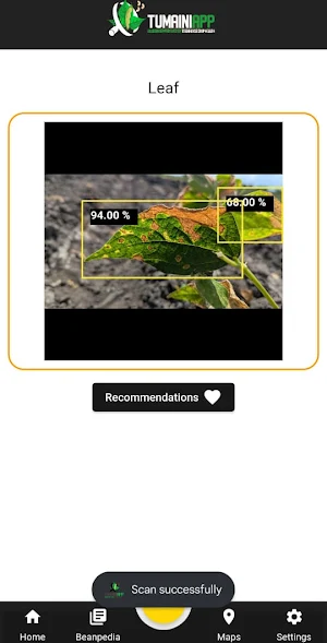 Tumaini Bean Screenshot 3