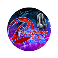 Peerless 100 FM