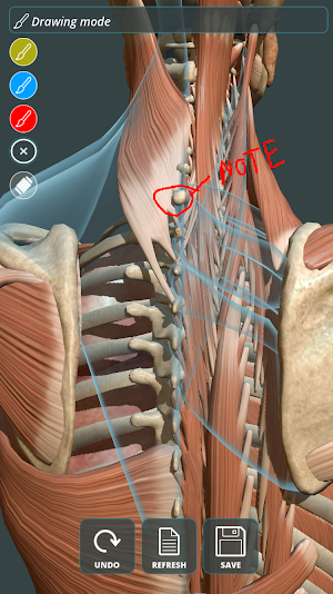 Visual Anatomy 3D | Human Screenshot 2