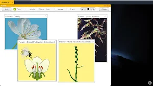 Science SuperLab for Biology Screenshot 2