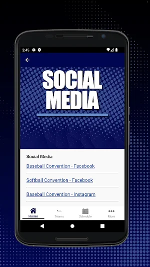 World Baseball and Softball CC Screenshot 3