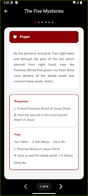 Precious Blood Chaplet Screenshot 3