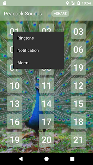 Peacock (Animal) Sounds Screenshot 1