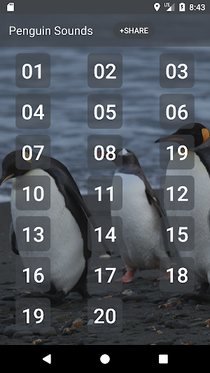 Penguin Sounds Screenshot 0