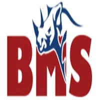 BMS Safe