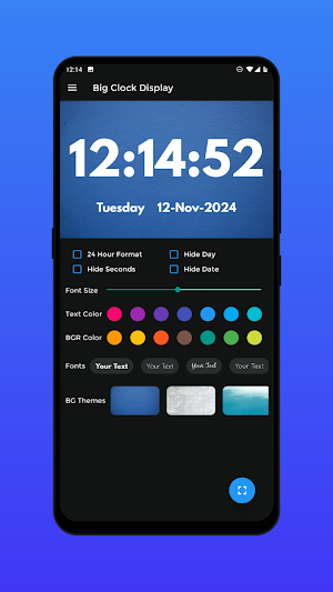 Big Clock Display Timer Screenshot 0