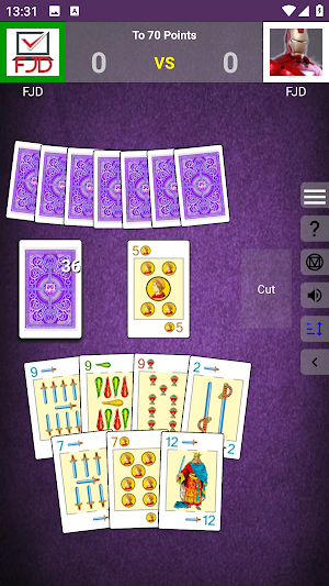 Chinchon FJD Screenshot 3