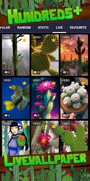 cactus wallpaper Screenshot 2