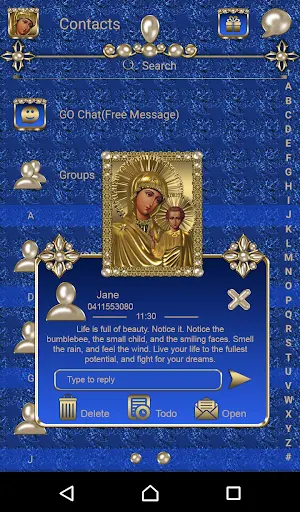 Virgin Mary Blue Go SMS theme Screenshot 2