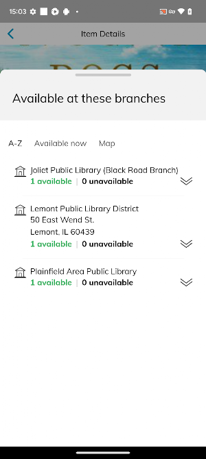 Lemont Public Library Screenshot 2