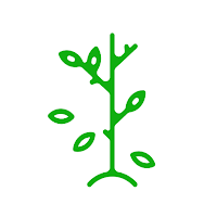 ForestMind