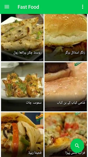 Fast Food Recipes in Urdu Screenshot 3