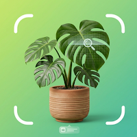 Scan Plant Disease Identifier