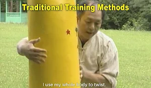 Tai Chi Pushing Hands Screenshot 2