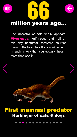 Wildcats Screenshot 2