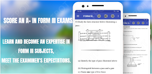 Form 3 Topical Questions Screenshot 2