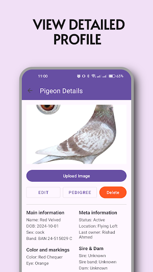 PigeonProfile - Loft Manager Screenshot 1