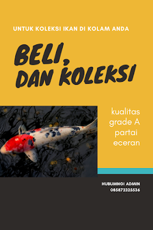 Budidaya Ikan Koi Unggul Lengkap Screenshot 1
