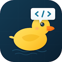 Explain bugs to a duck