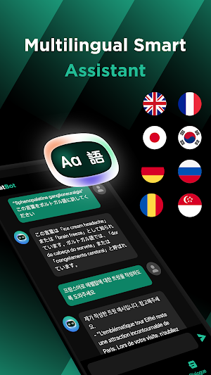 ChatBot Screenshot 2