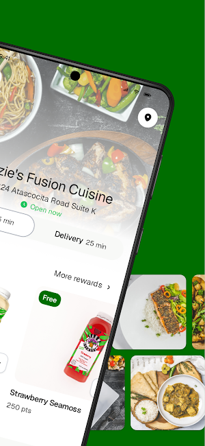 Suzie's Fusion Cuisine Screenshot 1