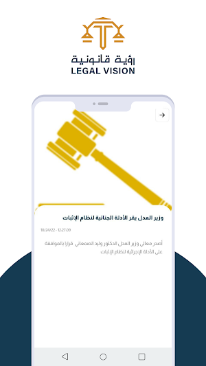 Legal Vision Screenshot 1