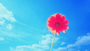 Pink Wallpapers HD Screenshot 3