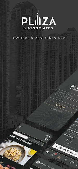 Plaza and Associates Screenshot 1