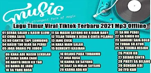 Song Timur Tik Tok Screenshot 0