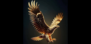 huijin  pro Screenshot 0