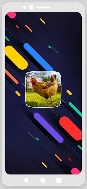 Chicken Sounds Screenshot 0