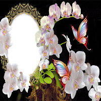 Fresh Flower Frame