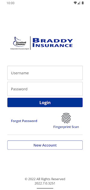 Braddy Insurance, Inc Online Screenshot 0