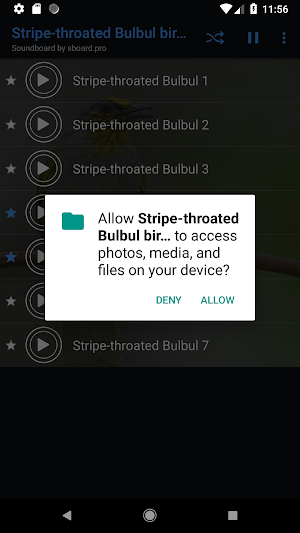 Stripe-throated Bulbul bird Sounds ~ Sboard.pro Screenshot 1