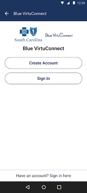 Blue VirtuConnect Screenshot 1