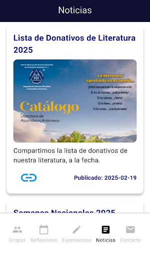 AA México Screenshot 2
