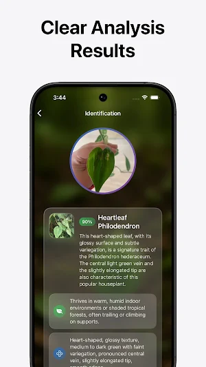 Leaf Identifier Screenshot 2