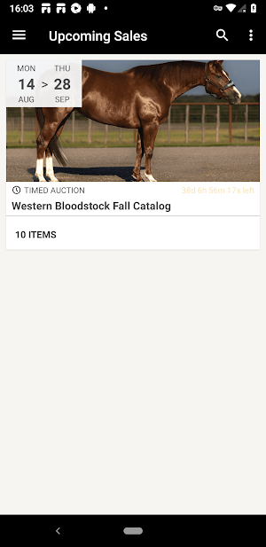 Western Bloodstock Screenshot 0