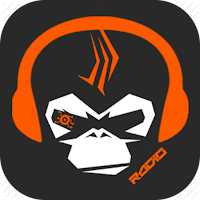 Radio EvoPixel